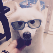 三叶祈