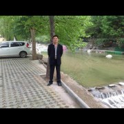 马养辉