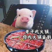 杨雨涵