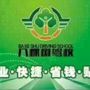 贾教练