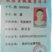 杨露