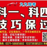丁悦