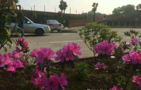 教学环境