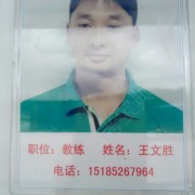 王文胜
