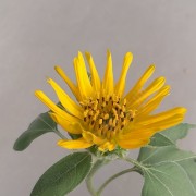 李万里