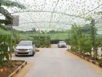 玖玖驾校