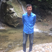 陈玉葵