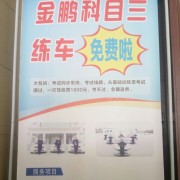 金鹏教练