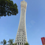 教练