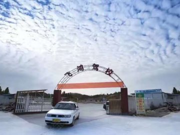 飞鸿驾校