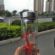 碧海蓝天