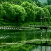 孟新胜