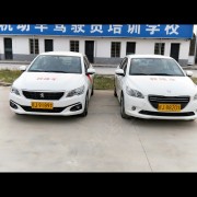 龙教练