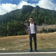 杨杨