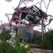 刘素学