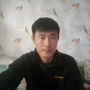 张修伟