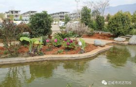 教学环境