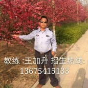 王加升