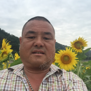 翁跃森