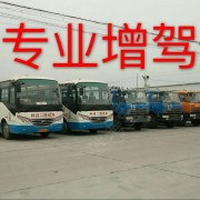 徐自强