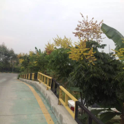 教學(xué)環(huán)境