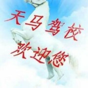 郑俊
