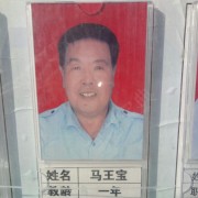 马王宝