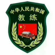 涛哥教车