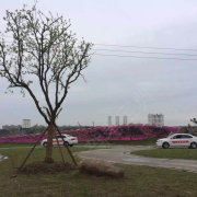 教學(xué)環(huán)境