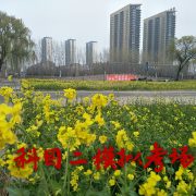 教學(xué)環(huán)境