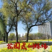 教學(xué)環(huán)境