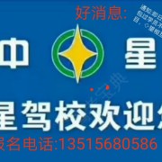 刘若淼