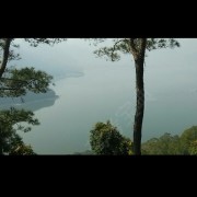 陈子文