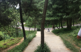 教学环境