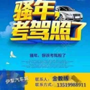 金志纲