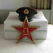 蔡隆冰