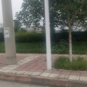 教练