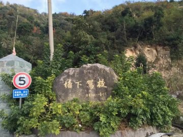 塘下驾校.