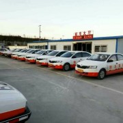 陈力