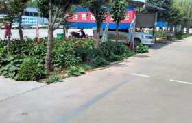 教学环境