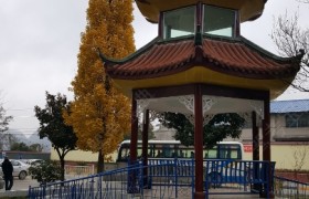 教学环境