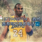 马教练