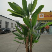 教學環(huán)境