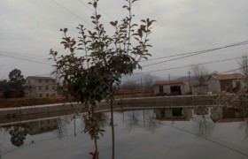 教學(xué)環(huán)境