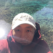 强峰驾校陈教练