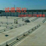崔向阳