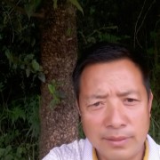 杨教练