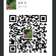 马启超