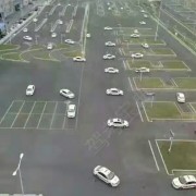 杨雄