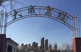 大成驾校